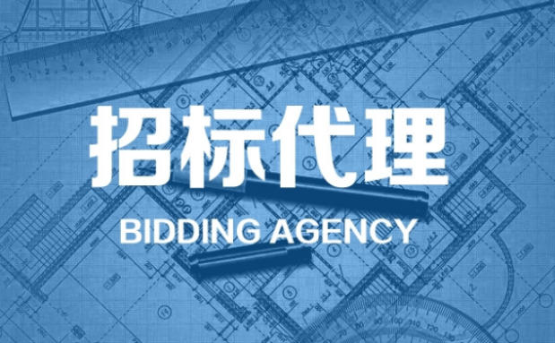 代做货物投标报价表，货物类清单报价表